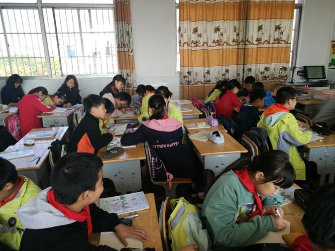 优化活动过程 提高课堂品质——教育教学检测和评价活动的实践探索